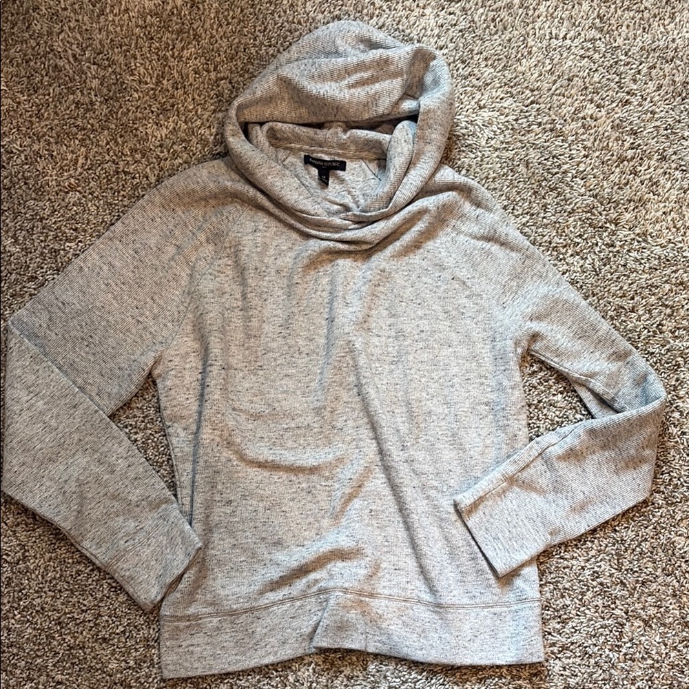 Men's Banana Republic Heathered Sweater Hoodie